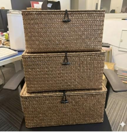 Nonam Large Seagrass Storage Baskets, 3-Piece Wicker Organizers - Coffee by Home