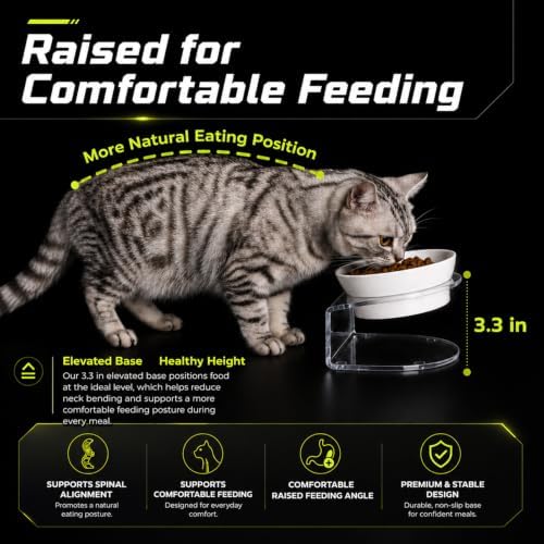 LivLab Mker Elevated Cat Bowls,15° Tilted, 4.5 in High, White, 2 Pack - Image 6