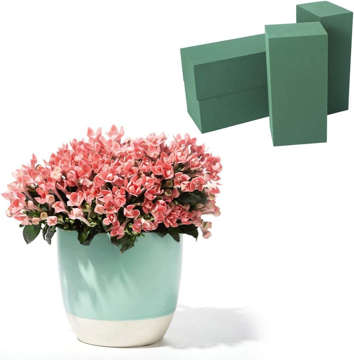 CCINEE Floral Foam Bricks,Florist Foam Green Blocks Supplies for Flower Arrangement DIY Craft,Pack of 5