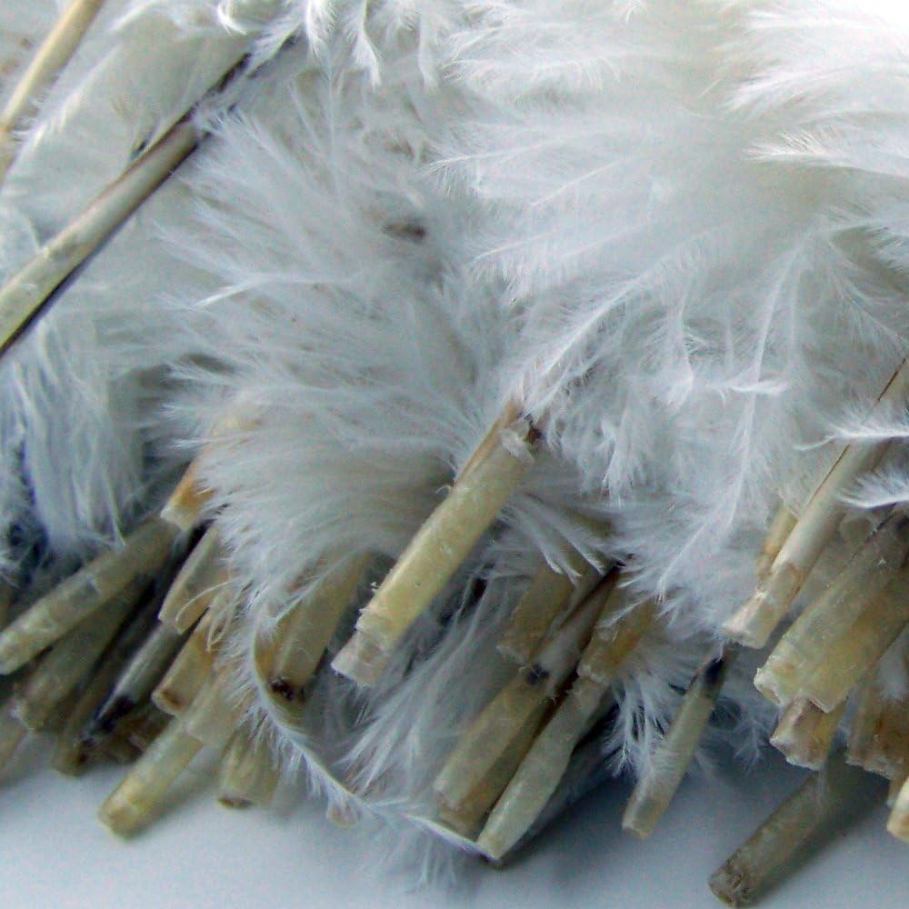 KOLIGHT 40pcs 12''~14''(30~35cm) Natural Ostrich Feathers for DIY Home Wedding Party Office Decoration (White)