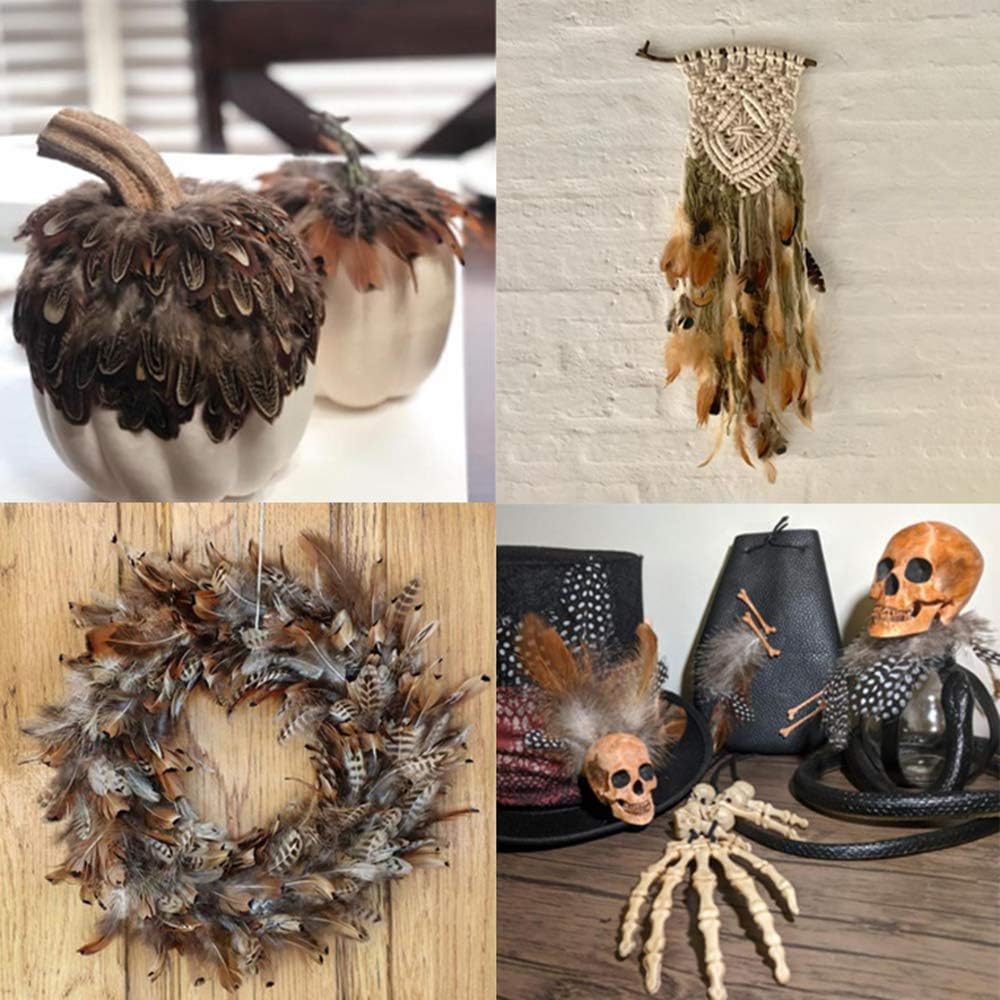 Ballinger 240pcs 12 Styled Natural Feathers Assorted Mixed Feathers for Jewelry and Dream Catcher Crafts Decoration