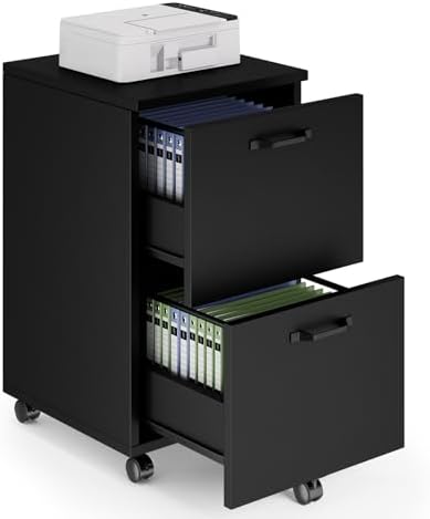 Sweetcrispy 2-Drawer File Cabinet, Small Rolling Filing Cabinet, Black by Sweetcrispy