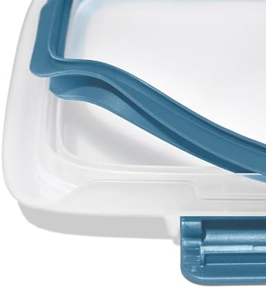 OXO Good Grips Prep & Go 4.1 Cup Divided Food Storage Container -Ocean Blue - Image 4