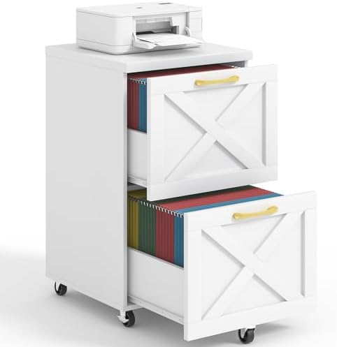 Halitaa Farmhouse 2 Drawer Small File Cabinet with Wheels, White by Halitaa