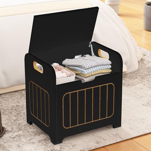 Aenuert Storage Chests, Small Cube Organizer Box,Wooden Entryway Storage (Black, With Handle) by Aenuert