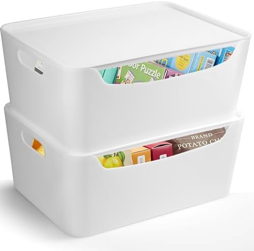 FINESSY White Plastic Storage Bins With Lids And Handles, 2 Pack Organizer by Finessy
