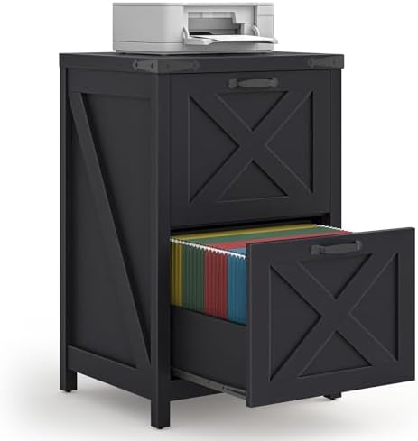 Halitaa Small Farmhouse File Cabinet with 2 Drawers for Home Office, Black by Halitaa