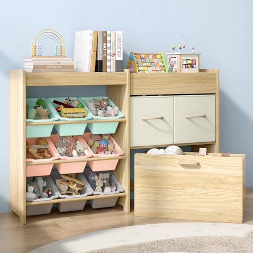 EXPERLAM Toy Organizer for Kids, 9 Color Bins, 2 Drawers, Toy Chest by EXPERLAM