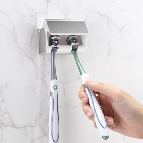 Toothbrush Holders Wall Mounted with Cover (1, Brushed Silver) by PARKMANI