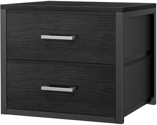 BOLUO Stackable Storage Drawers Closet Organizers and Storage Fabric Black 2 Drawer Dresser for Bedroom Modern by BOLUO