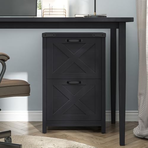Halitaa Small Farmhouse File Cabinet with 2 Drawers for Home Office, Black - Image 2