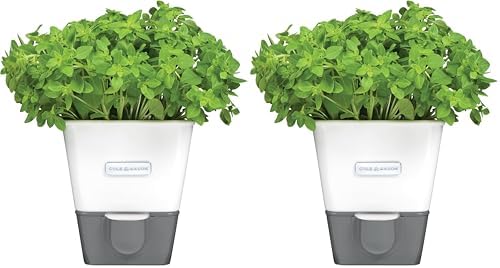 Cole and Mason Self-Watering Herb Keeper, Fresh Preservation, White, 2 Pack by Unknown