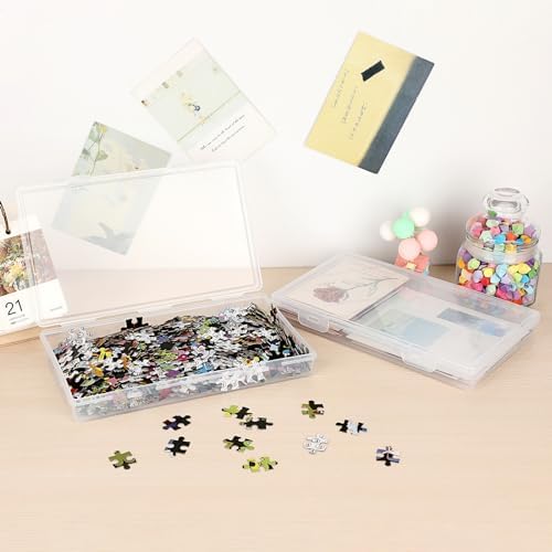 BTSKY Clear Plastic Storage Box with Flap Lid, 4 Pack - 9.8"x5.9"x1.2" - Image 7