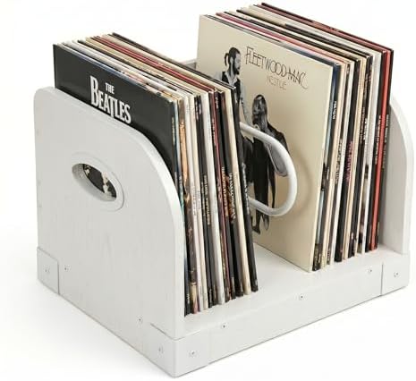 Vinyl Record Storage Rack for 65 LPs, Vinyl Record Album Holder Heavy-Duty Record Storage Shelf with Handles, Record Holder, Multi-Purpose Organizer by Zexvida