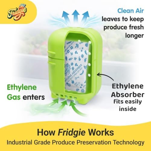 Fridgie Produce Saver, Ethylene Gas Absorber, Fresh Vegetable Saver - Green - Image 4