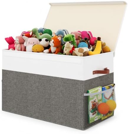 Large Toy Storage Box with Lid, Toy Chest Organizer Bin for Kids by Dotpilgo