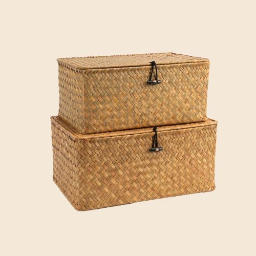 Nonam Wicker Storage Basket with Lid,Seagrass Shelf Basket Set of 2,Natural by Home