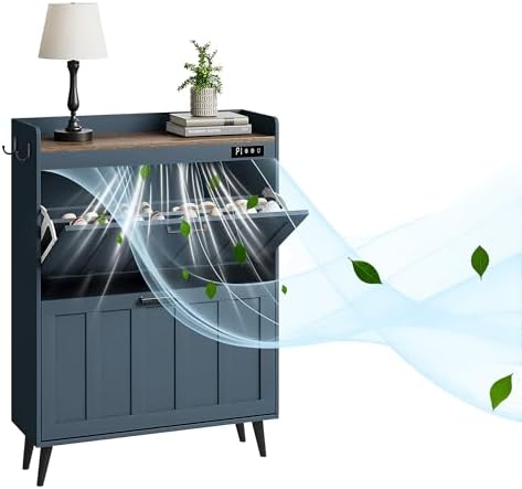ChooChoo Shoe Storage Cabinet with 2 Flip Drawers and Deodorizer by ChooChoo