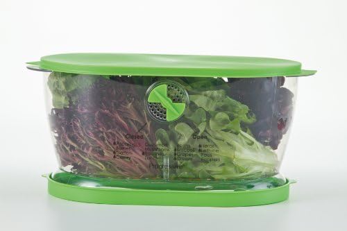 Prep Solutions by Progressive Lettuce Keeper Produce Storage Container,4.7 Quarts,Green (LKS-06),(Pack of 3) - Image 4