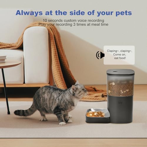 ANDOLL HOME Automatic Cat Feeder,4L Timed Cat＆Dog Dry Food Dispenser - Image 5