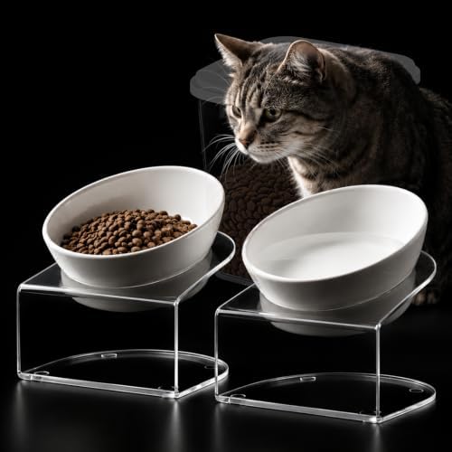LivLab Mker Elevated Cat Bowls,15° Tilted, 4.5 in High, White, 2 Pack by LivLabMker