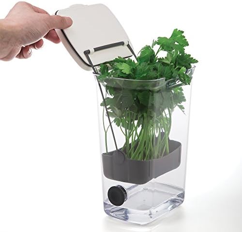 ProKeeper Herb Keeper with Removable Silicone Drain Plug, BPA-Free Plastic, 1 Piece (Pack of 6) - Image 5