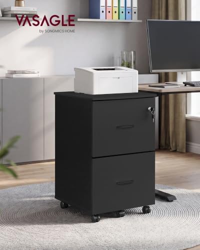 VASAGLE 2-Drawer File Cabinet, Small Rolling, Locking, Printer Stand - Image 2