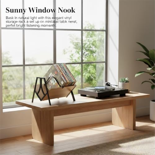 Vinyl Record Storage Rack for 50 LPs, Vinyl Record Album Holder Heavy-Duty Record Storage Shelf with Handles, Record Holder, Multi-Purpose Organizer - Image 6