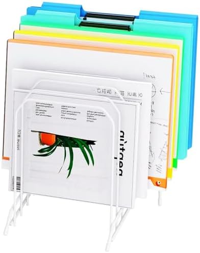 Incline Sorter Desk File Organizer, Metal Desk Magazine Folder Holder with 8-Section Vertical Compartments Rack File Organizer for Office, Home, School by MINDEPOT