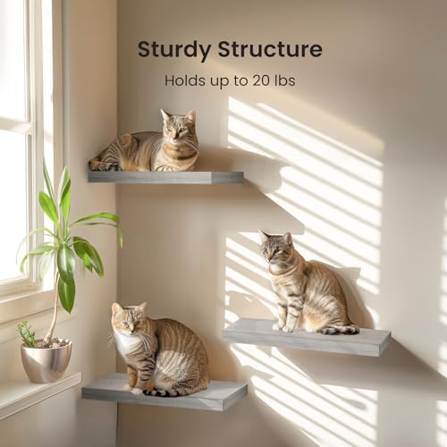 Amada 15.7" Floating Shelves for Wall Decor & Storage, Set of 3, Gray - Image 5