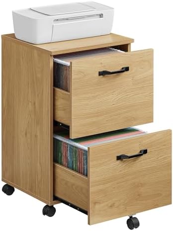 VASAGLE 2-Drawer File Cabinet, Small Rolling Filing Cabinet by VASAGLEbySONGMICSHOME