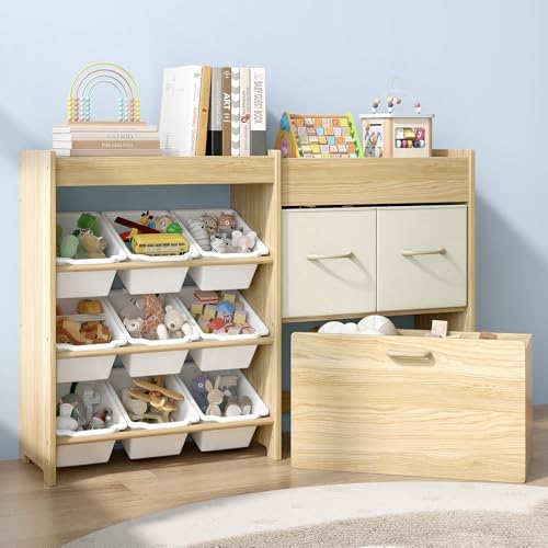 EXPERLAM Toy Storage Organizer for Kids, 9 Bins, 2 Drawers, Toy Chest by EXPERLAM