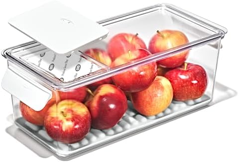 OXO Good Grips Produce Saver Bin with Carbon Filter by Unknown