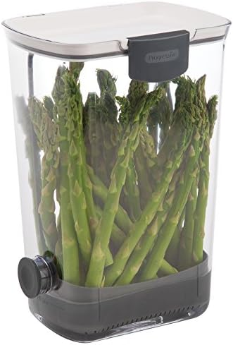 ProKeeper Herb Keeper with Removable Silicone Drain Plug, BPA-Free Plastic, 1 Piece (Pack of 6) by ProgressiveInternational