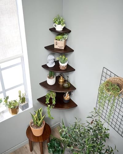 Corner Shelf, Solid Oak Wood Floating Corner Shelf Wall Mount Round End Floating Speaker with Wire Hole for Small Plant Photo for Bedroom Kitchen, Living Room Walnut - Image 2