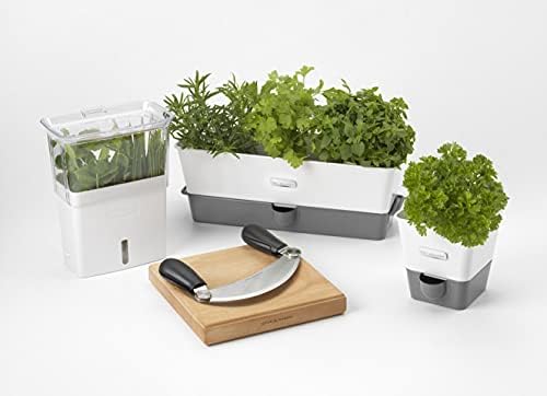Cole & Mason Burwell Self-Watering Potted Herb Keeper - Image 2