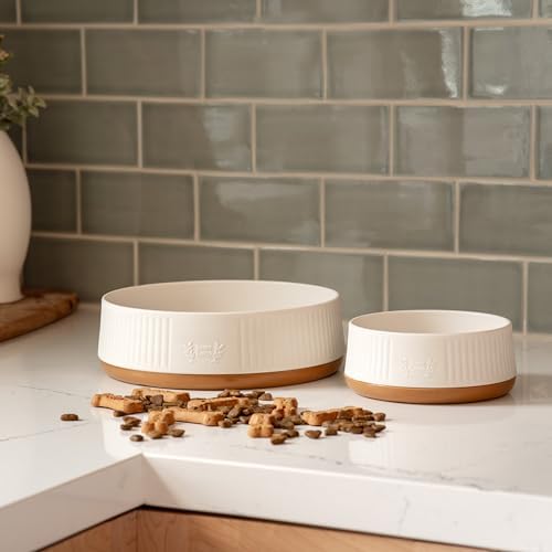 Harry Barker Small Modern Dog Bowls, 2-Pack Eco-Friendly Plastic Pet Food & Water Bowls, Non-Slip Base, Dishwasher Safe, BPA-Free, Neutral Design, Holds 3 Cups Each - Image 4