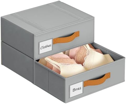 DIMJ Underwear Drawer Organizer, Stackable Bra Organizer for Closet 2 Pack, Bra Storage With Fabric Storage Drawers, Collapsible Closet Organizers for Clothes, Socks, Bra, Scarf, Baby Clothes, Gray by DiMJ