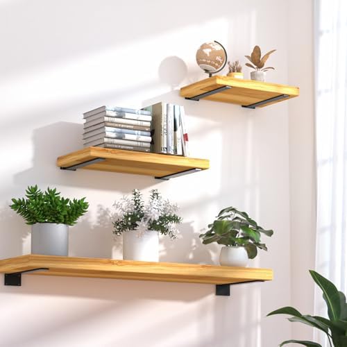 16 Pack - 10 inch Black Hidden L Shelf Bracket (1/5 Inch Thicked) Iron Floating Shelf Brackets Rustic Industrial Metal Brackets for Shelf Support - Image 4