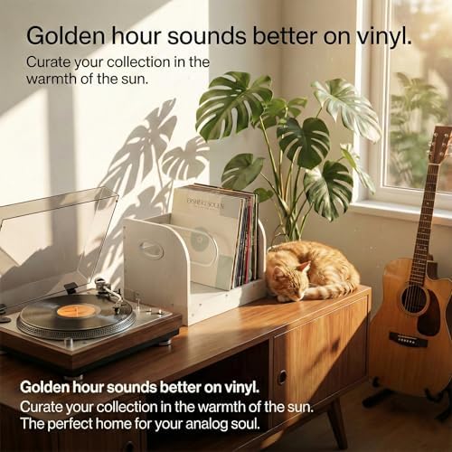 Vinyl Record Storage Rack for 65 LPs, Vinyl Record Album Holder Heavy-Duty Record Storage Shelf with Handles, Record Holder, Multi-Purpose Organizer - Image 5