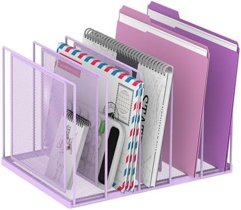 File Organizer for Desk, 5-Section Vertical File Sorter, Paper Holder Organizer Standing Metal File Folder for Office Home Classroom, Purple by JMHUD