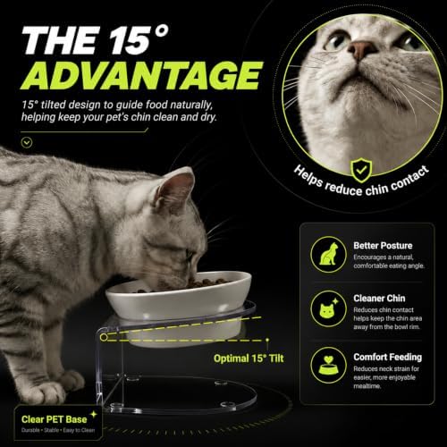 LivLab Mker Elevated Cat Bowls,15° Tilted, 4.5 in High, White, 2 Pack - Image 4