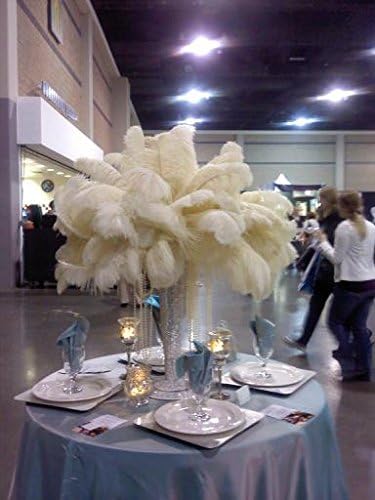 Sowder 14-16inch(35-40cm) Ostrich Feathers Plume for Wedding Centerpieces Home Decoration Pack of 10pcs(Ivory)