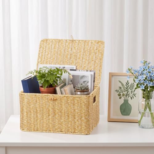 Nonam Wicker Storage Basket With lid,Stackable Plastic Bin (Natural,S+M+L) - Image 5