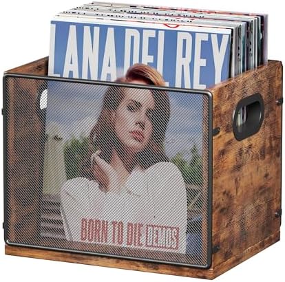 Homeiju Wooden & Metal Record Crate - Vinyl Album Holder & Organizer, Holds Up to 60 Records by Homeiju