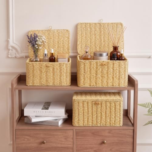 Nonam Wicker Storage Basket With lid,Stackable Plastic Bin (Natural,S+M+L) - Image 4