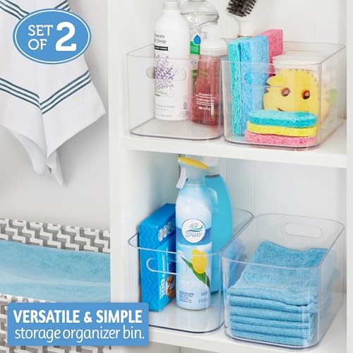 STORi Bliss 10" x 6" Open Clear Pantry Organizer Bin, Set of 2, Plastic Containers with Handle for Kitchen, Fridge, Cabinet, Closet, Bathrom, Undersink Storage Made in USA - Image 3