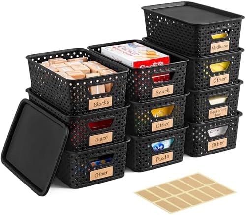 10 Pack Small Plastic Storage Bins with Lids, Stackable Plastic Storage Baskets for Organizing with Handles, Organizer Bins with Labels for Room, Craft, Containers for Pantry Organizers and Storage by Unknown