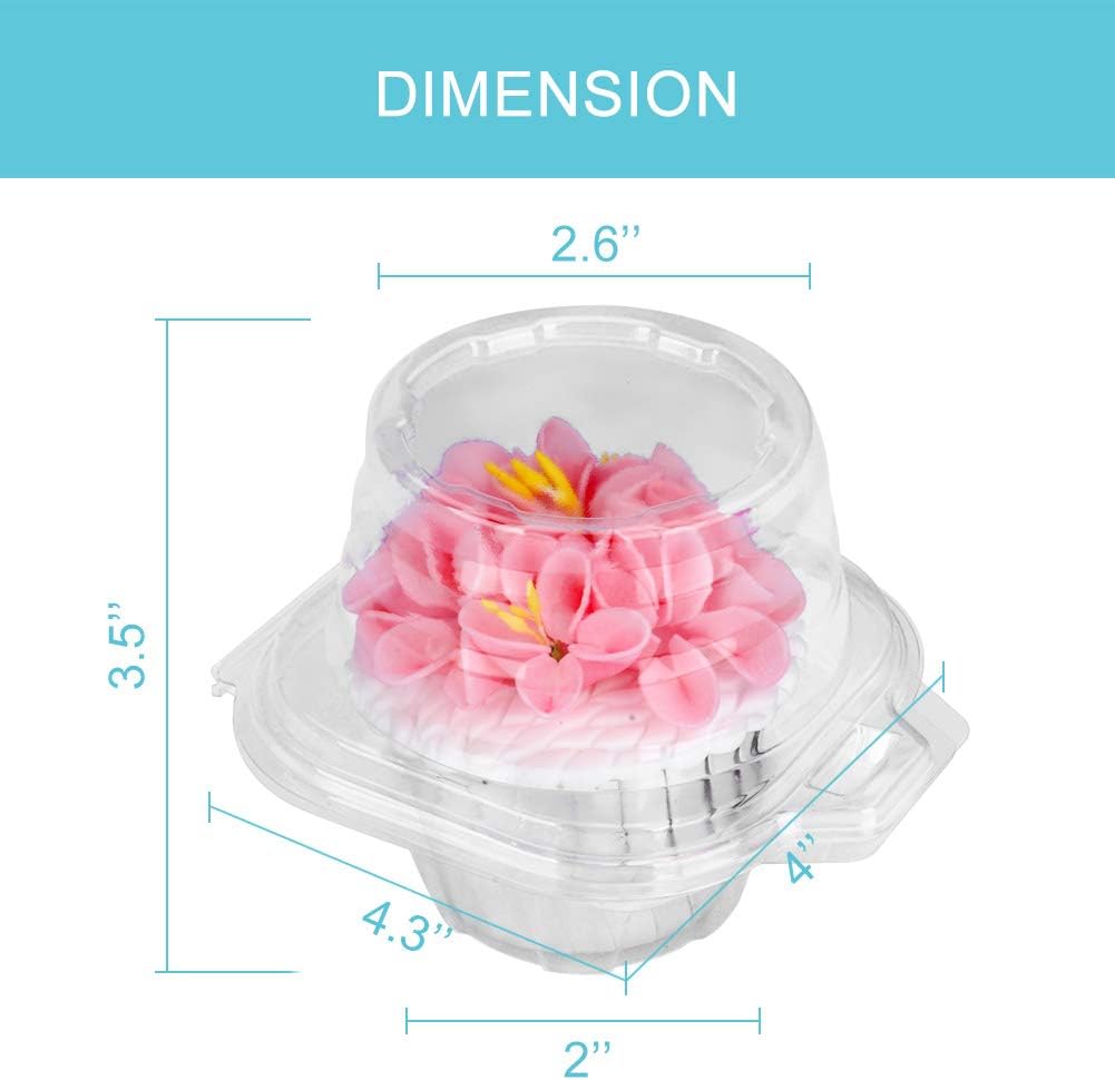 50 Pcs Cupcake Boxes Plastic Individual Cupcake Containers Single Cupcake Carrier with Connected Airtight Dome Lid for Party