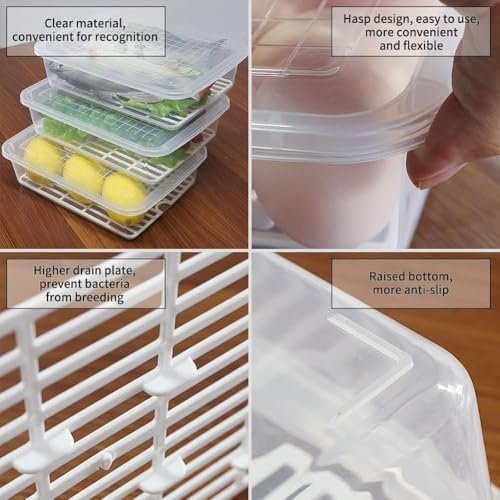 77L Fruit Storage Containers for Fridge, Rectangle Plastic Food Storage Containers with Lids, 3-Pack Deli Meat Container with Removable Drain Plate, Stackable Produce Keeper in Seafood & Berries - Image 3